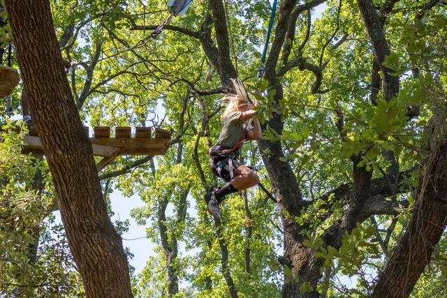 Tree Adventure Accrodiable