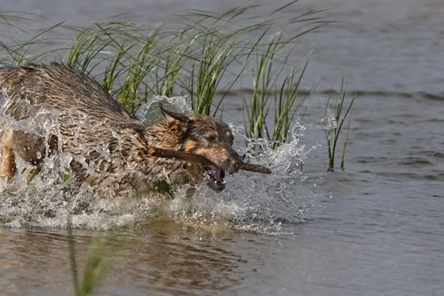 Entrada a Parque Los Dinamos