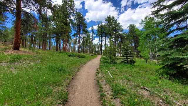 Flying J Ranch Park Shadow Mt. Access