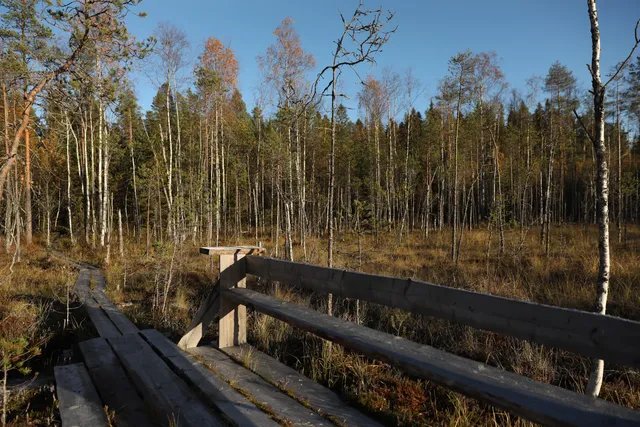 Parkano Forest Museum