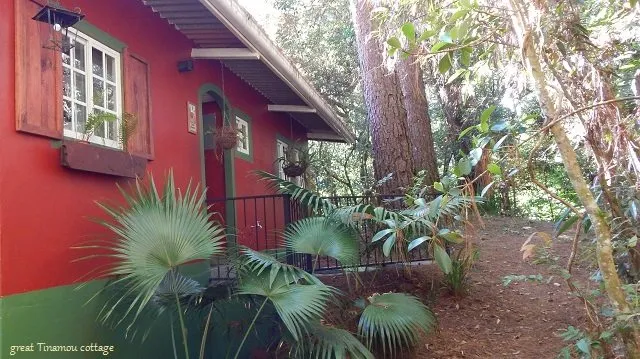 Tinamou Cottage Deluxe Jungle & Birding Lodge , Boquete