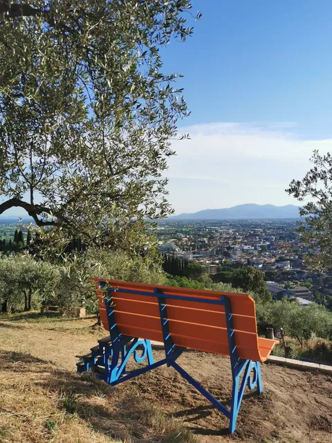 Big Bench #219 - Nievole