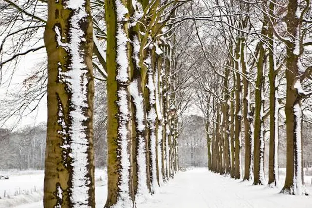Landgoed Schaep en Burgh