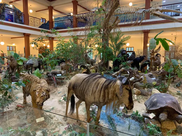 Bait Al Othman Museum