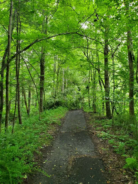 Corkscrew Rail Trail
