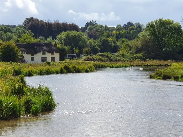 Chilbolton Cow Common SSSI