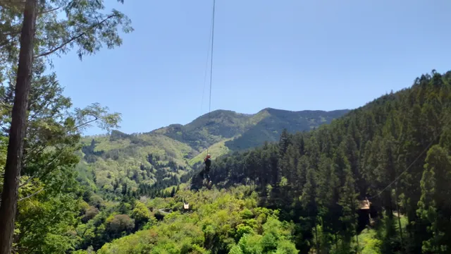 フォレストアドベンチャーコウチ