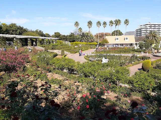 Yatsu Rose Garden