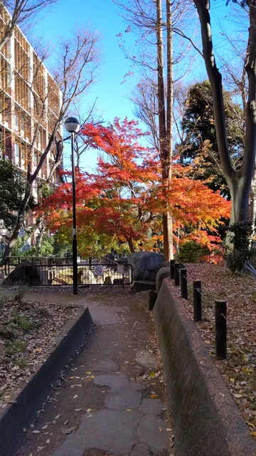 Kubomachihigashi Park