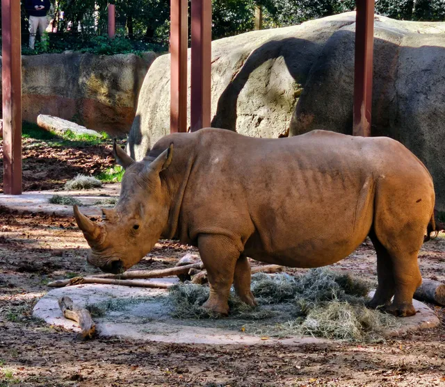 Willie B's Pizza & Sweetwater Brewing Beer Garden