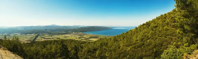 Kaimon Foothills Nature Park (Tokara Horse Grazing Farm)