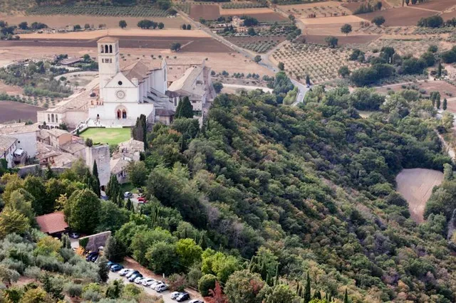 Bosco di San Francesco