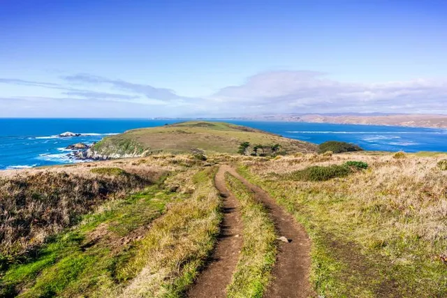 Tomales Point