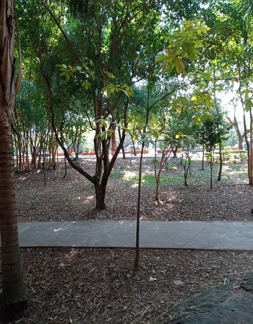 Linear Tiquatira - Eng Eugenio Werner Zulauf.