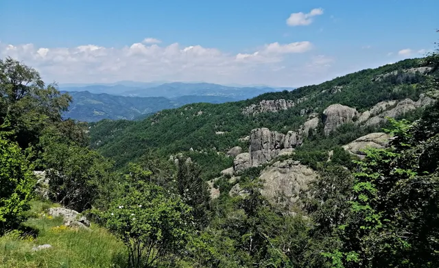 Крепост "Козник"