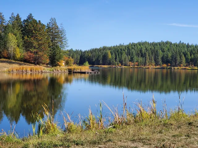 place image