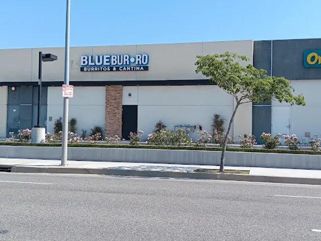 Blue Burro Burritos & Cantina Torrance