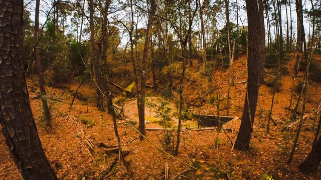 Memorial Park Mountain Biking Trails