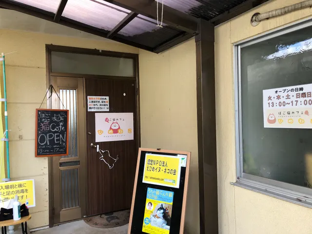 Cat Cafe Himeneko