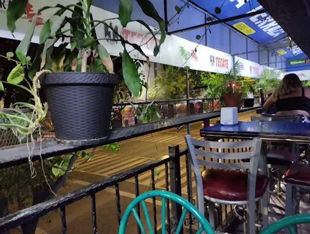 THE TERRACE RESTAURANT - BAR