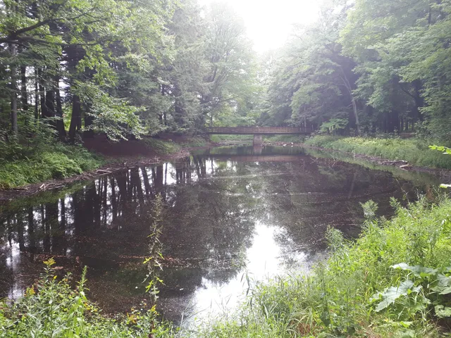 photo-1