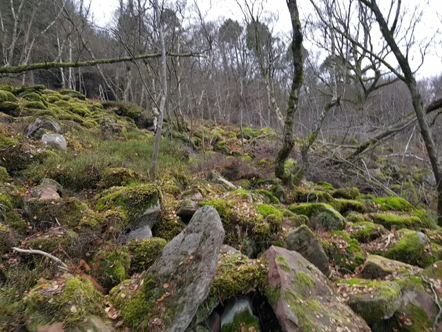 Felsenmeer, Russenstein, Naturpark Michelsbrunnen