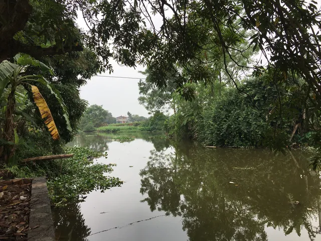 Hưng Hà, Thái Bình