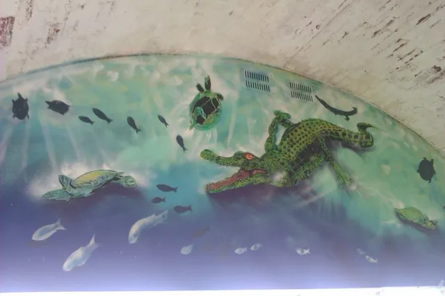 The Isle of Wight Reptilarium