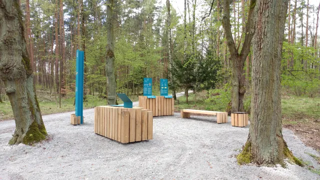 Wald.Berlin.Klima. - The exhibition in the forest