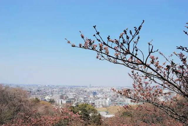 Mt.Masugata observation platform