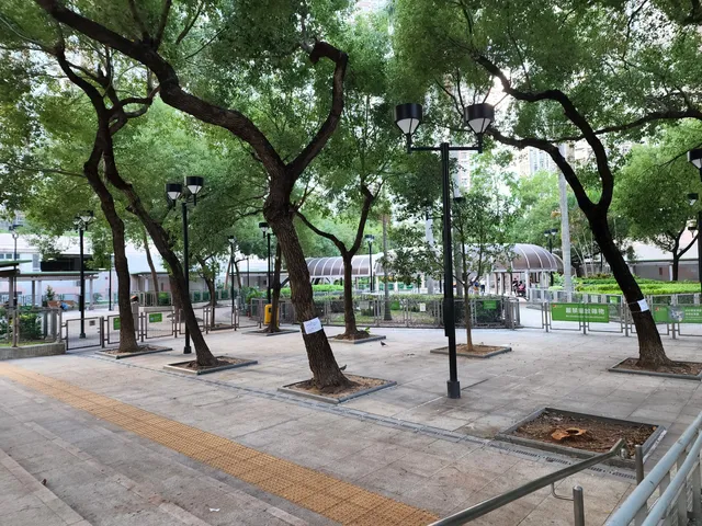 photo-1