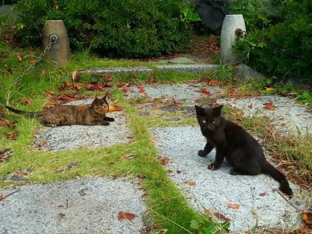 Schmetterlingspfad Willebadessen