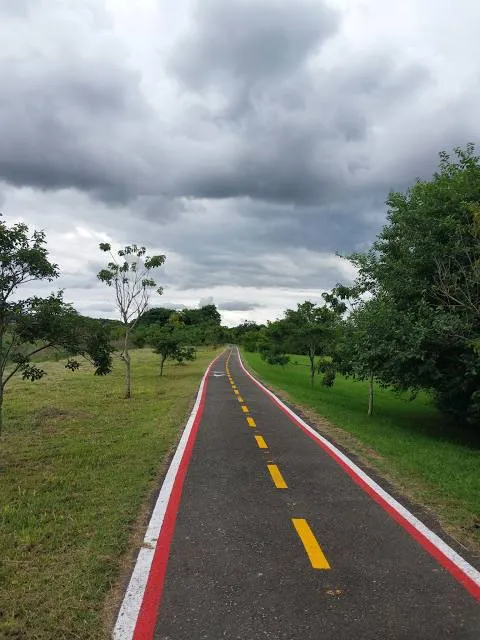Parque São José