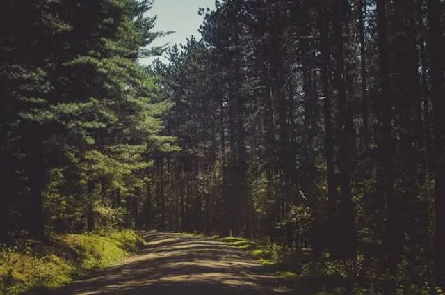 Poe Paddy State Park