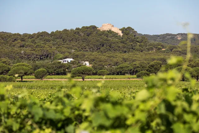 Domaine La Courtade - Vins de l'île de Porquerolles