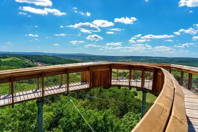 Lombkorona Tanösvény