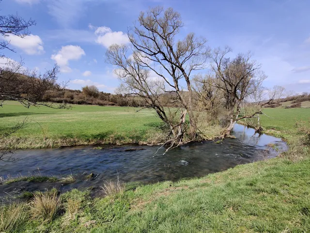 Tal der Schwarzen Laber