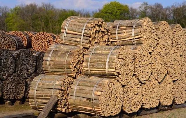 Barraca de les oliveres