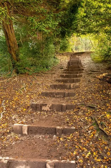 Stepping Stones Walk