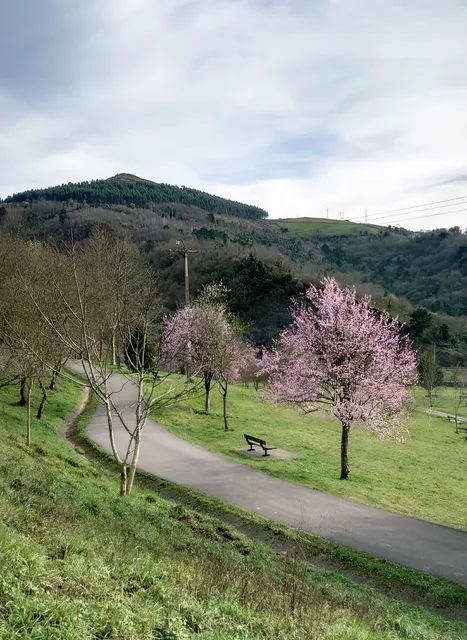 Parque de Montefuerte