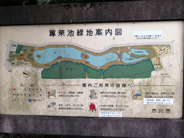 Junsai Pond Green Space