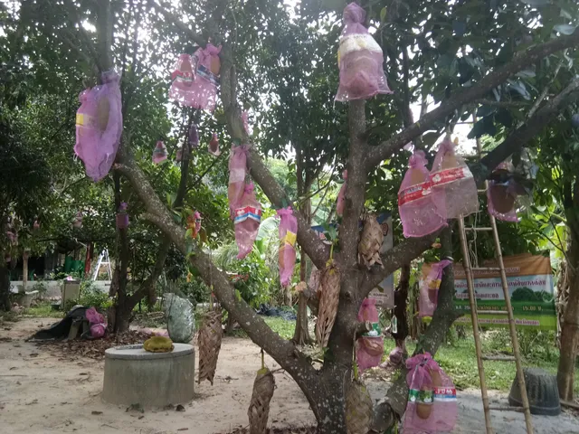 สวนลุงวี Lung Wee Garden