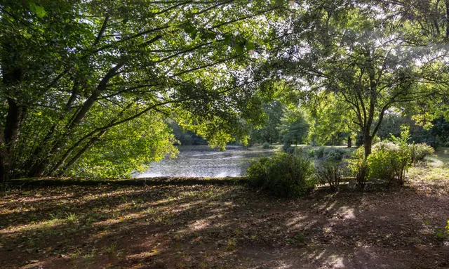 Les berges du petit lac
