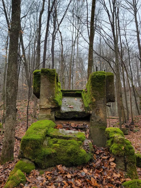 Fern Cliff Nature Preserve