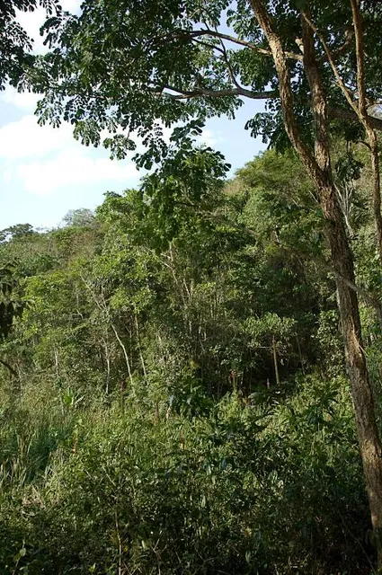 Feliciano Miguel Abdala Private Natural Heritage Reserve