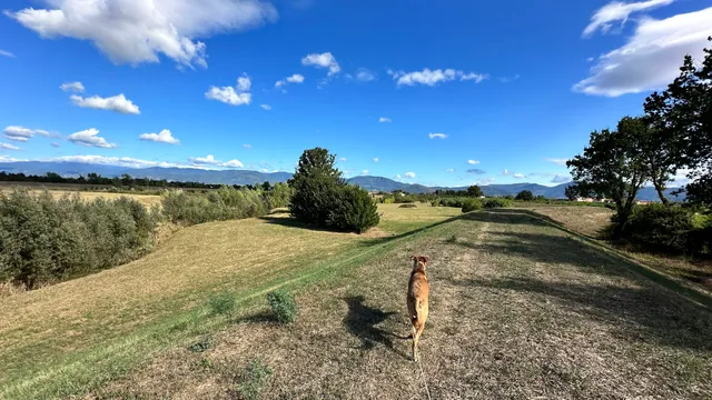Area Naturale Protetta La Querciola