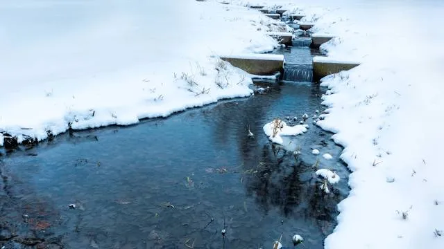 Park miejski w Skierniewicach