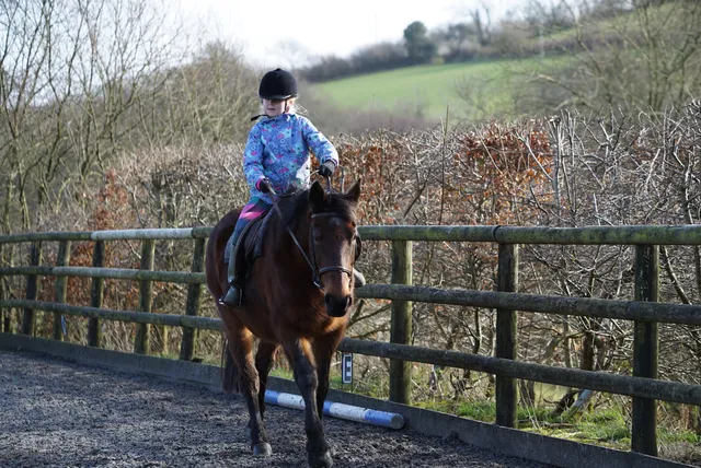 Dean Riding Stables