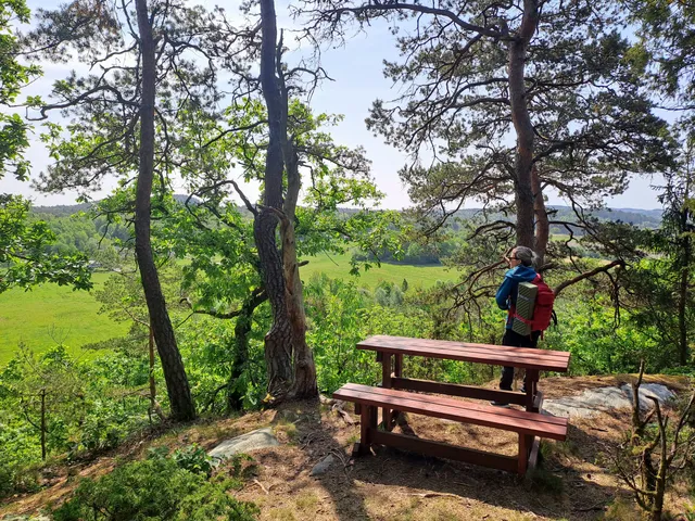 Rapenskårs lövskogar