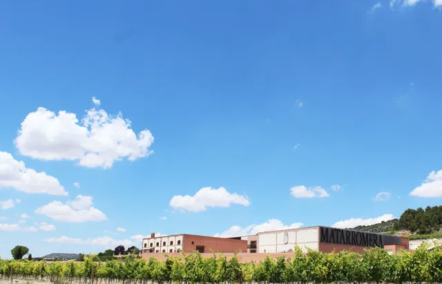 Bodega Matarromera